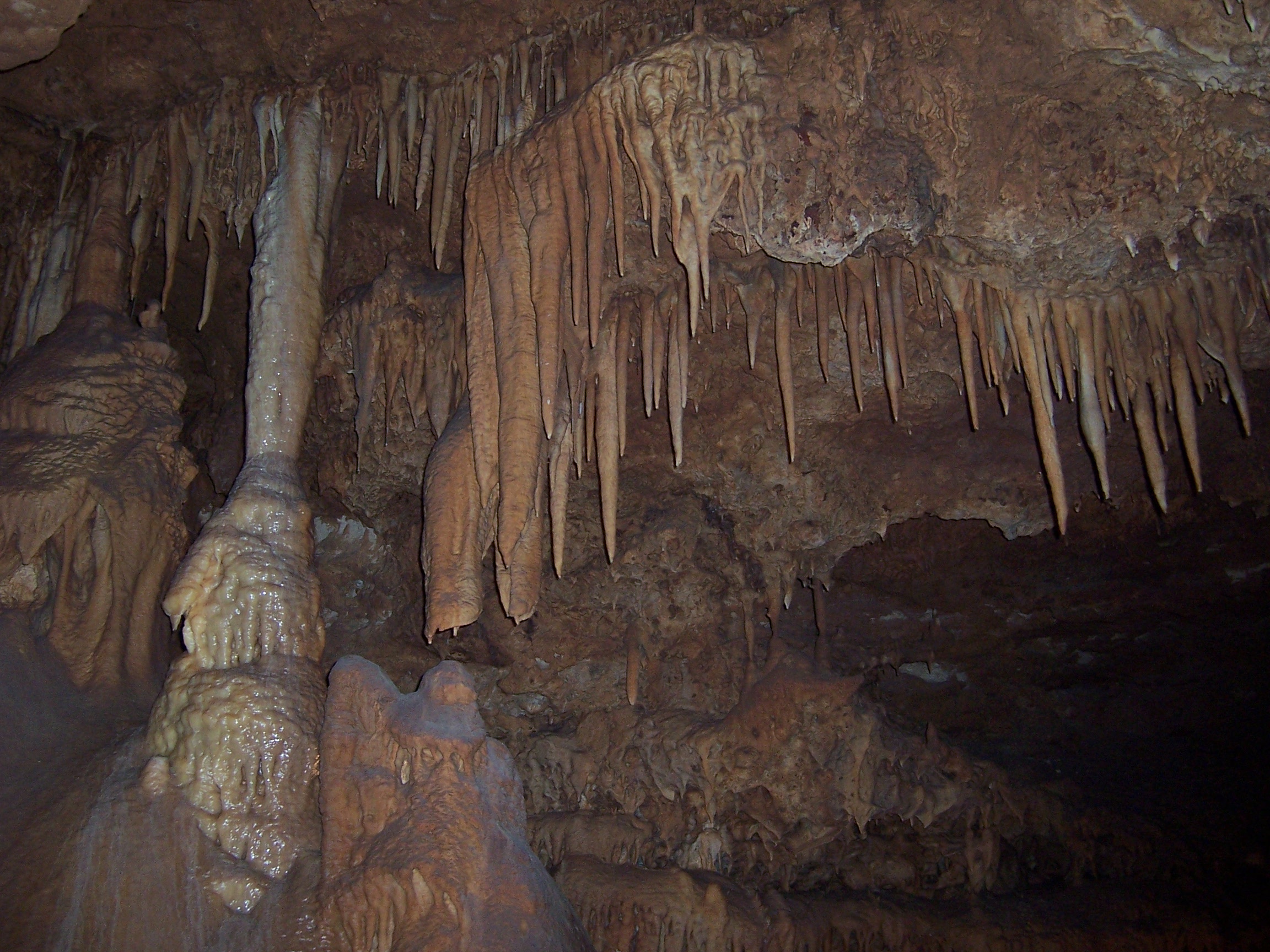 Inner Space Caverns - Georgetown, TX